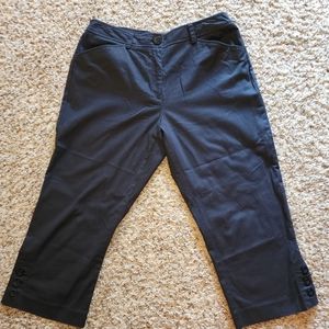 Pantalogy Black Capris